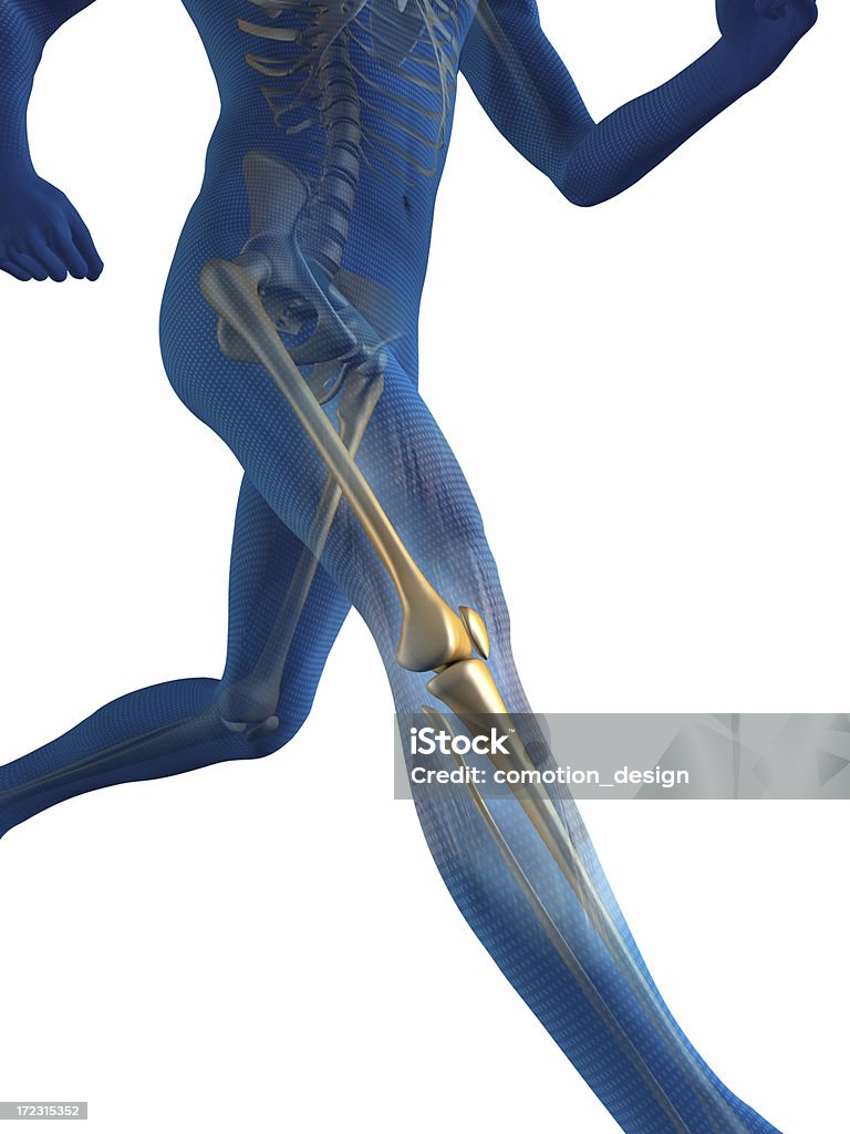 Homem de corrida - Foto de stock de Anatomia royalty-free