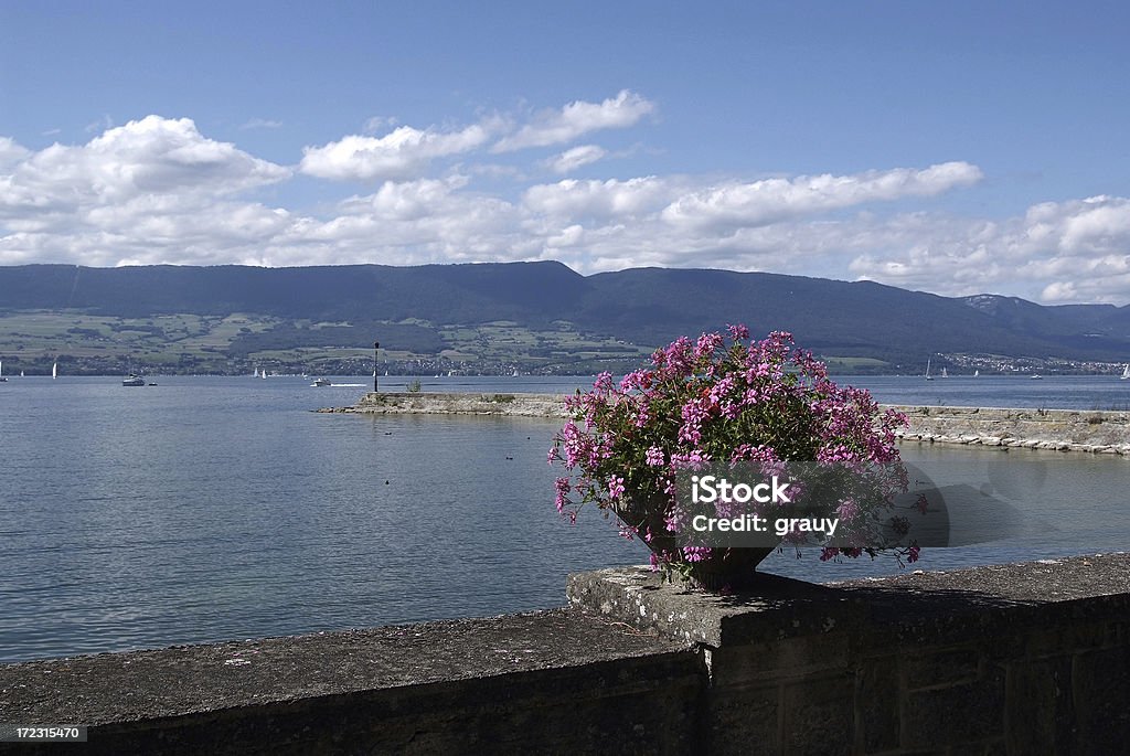 The harbor of Estavayer-le-Lac on Lake Neuchatel The harbor of Estavayer-le-Lac on Lake Neuchatel. In the rear we can see the Jura of the region of Neuchatel. Europe Stock Photo