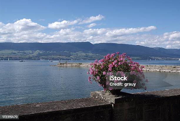 The Harbor Of Estavayerlelac On Lake Neuchatel Stock Photo - Download Image Now - Europe, Flower, Freiburg im Breisgau