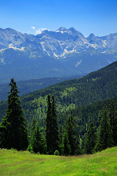 альпийский пейзаж - alm bavaria mountain summer стоковые фото и изображения
