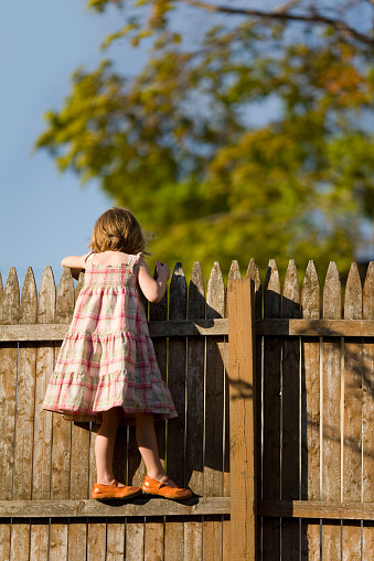 A pre-school aged girl peering over a wooden picket fence