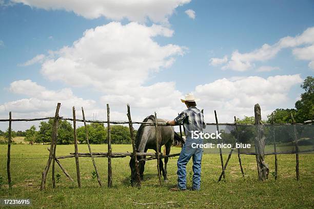 Junge Und Pferd Stockfoto und mehr Bilder von Agrarbetrieb - Agrarbetrieb, Jungen, Teenager-Alter