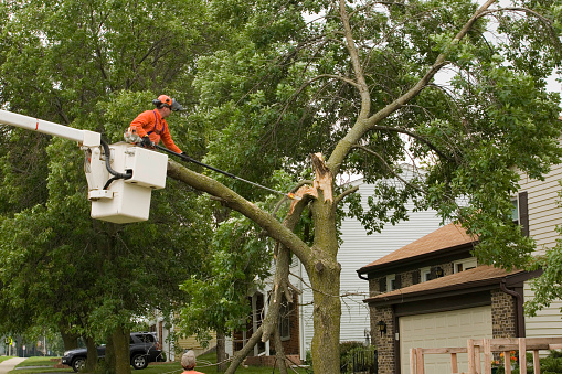 Storm damaged tree gets cut