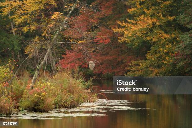 Otoño En Nueva Inglaterra Foto de stock y más banco de imágenes de Agua - Agua, Aire libre, Colmena