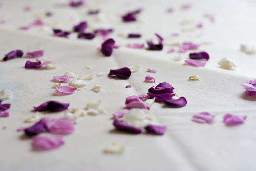 Rose petal confetti on wedding table