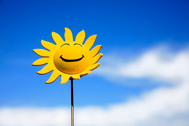 Sunflower smiley face Little sunflower with a smileyface against a beautiful blue sky. anthropomorphic smiley face photos stock pictures, royalty-free photos & images