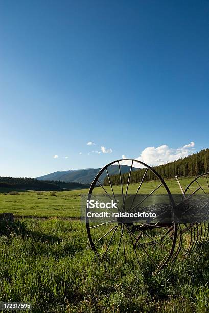 De Feno Em Branco Bombaconstellation Name Parque Nacional Florestal Colorado - Fotografias de stock e mais imagens de Agricultura