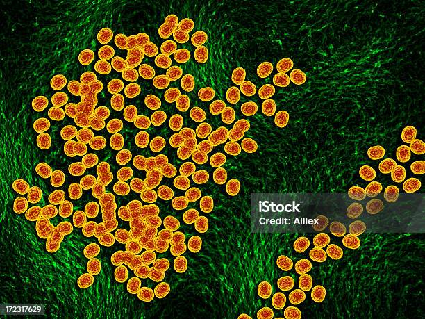 3 D Rendering Virus - Fotografie stock e altre immagini di Batterio - Batterio, Bellezza, Biologia