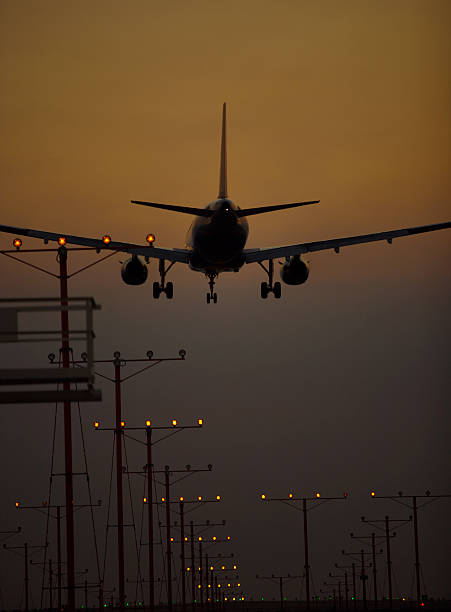 istock Airplane landing at dusk 172317692