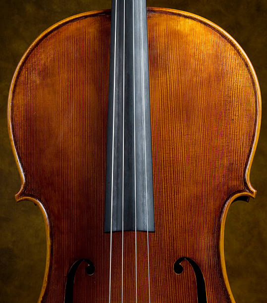 istock Portrait of a Cello 2 172317760