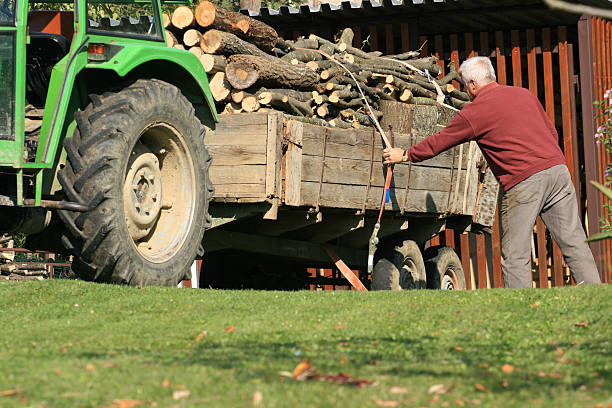 making ready for the winter season...stock up with firewood