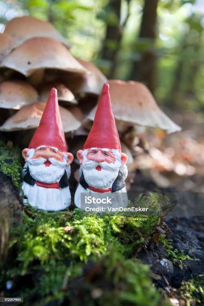 Bonjour, bienvenue dans notre hôtel de forrest - Photo de Arbre libre de droits