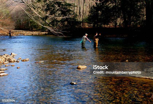 Pesca Con Mosca Foto de stock y más banco de imágenes de Agua - Agua, Aire libre, Anochecer