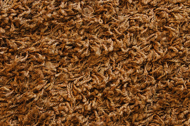 tapis à longues mèches - shag rug photos et images de collection