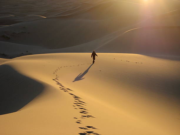 человек ходить dunes at sunrise - focus on shadow shadow walking people стоковые фото и изображения
