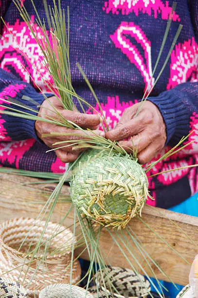 Photo of Copper Canyon of Mexico: Woman making pine-needle baskets