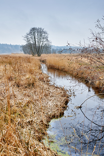 Small river in wintertime in Denmark