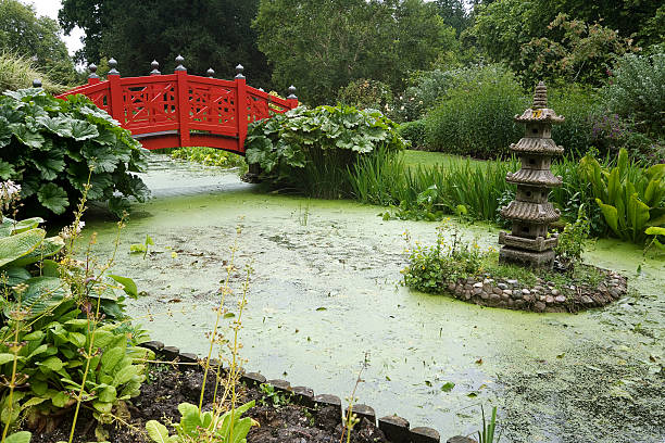 Wilton House Japanese Garden  earl of pembroke stock pictures, royalty-free photos & images