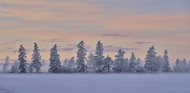 istock Danish nature in late wintertime. 1723189207