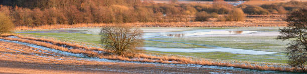 Danish nature in wintertime - dressed in frost and snow