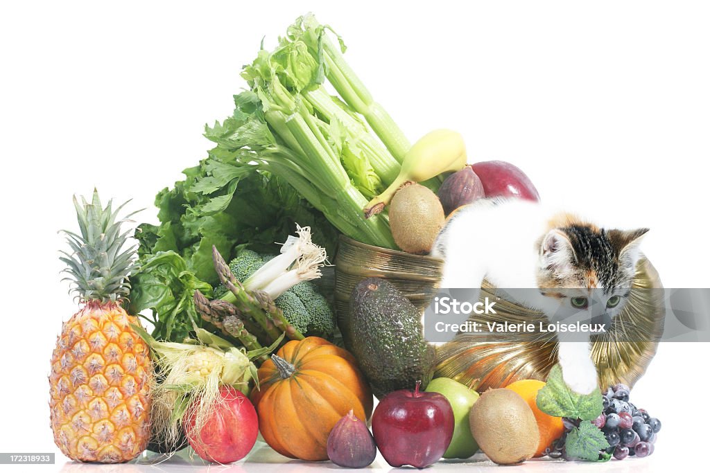 풍요의 뿔 과일과 채소 및 자본가 - 로열티 프리 애완고양이 스톡 사진