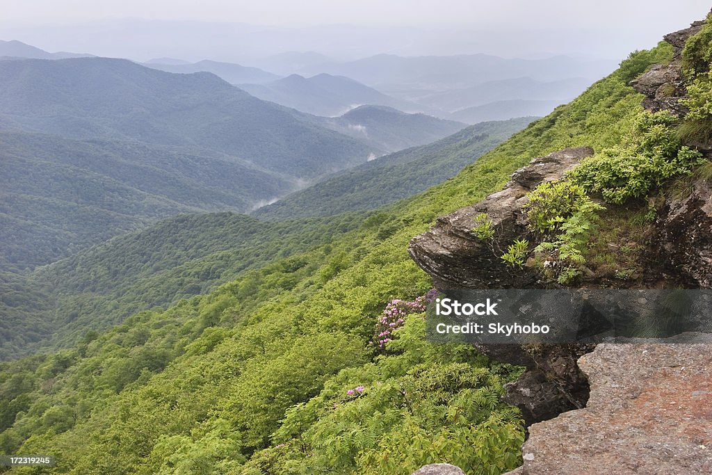 Craggy vista para - Foto de stock de Appalachia royalty-free