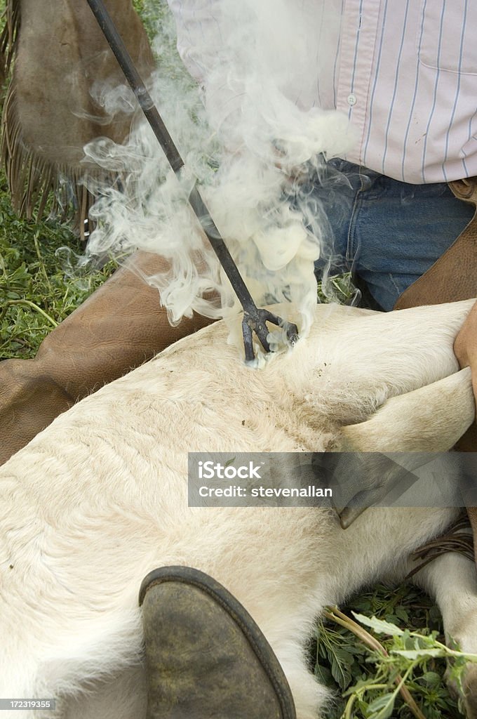 Cowboy - Foto de stock de Agricultura royalty-free