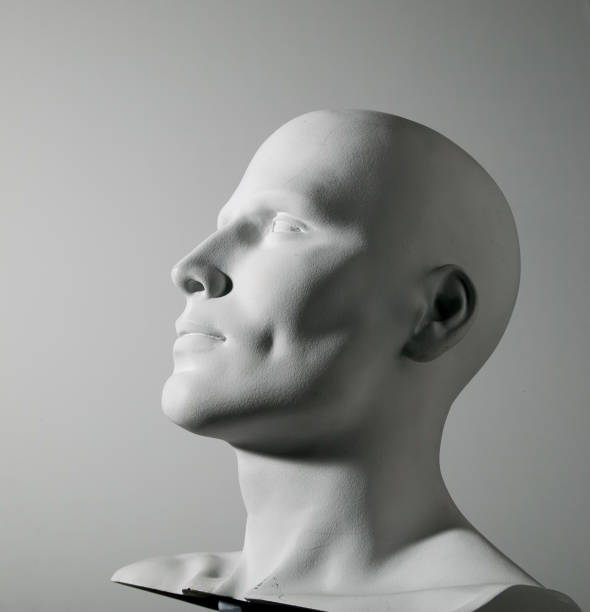 istock Male Mannequin Head no2 172319555