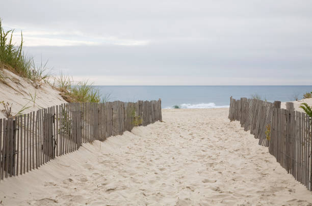 istock Beach Path to Atlantic Ocean, New Jersey 172319705
