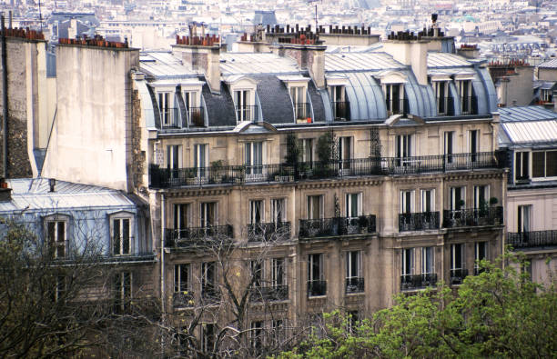 istock Row of houses in Paris 172319944