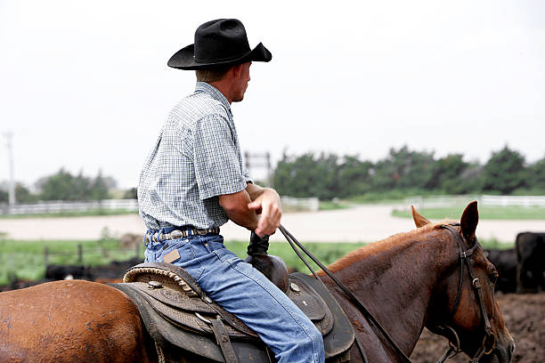 Cowboy Side View stock photo
