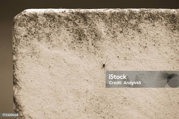 Tombstone - Fotografie stock e altre immagini di A forma di blocco - A forma di blocco, Antico - Condizione, Antico - Vecchio stile