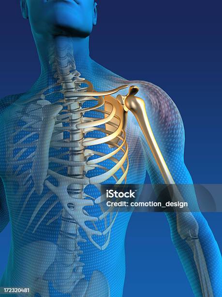 Photo libre de droit de Blue Man banque d'images et plus d'images libres de droit de Épaule - Épaule, Anatomie, Imagerie par rayons x