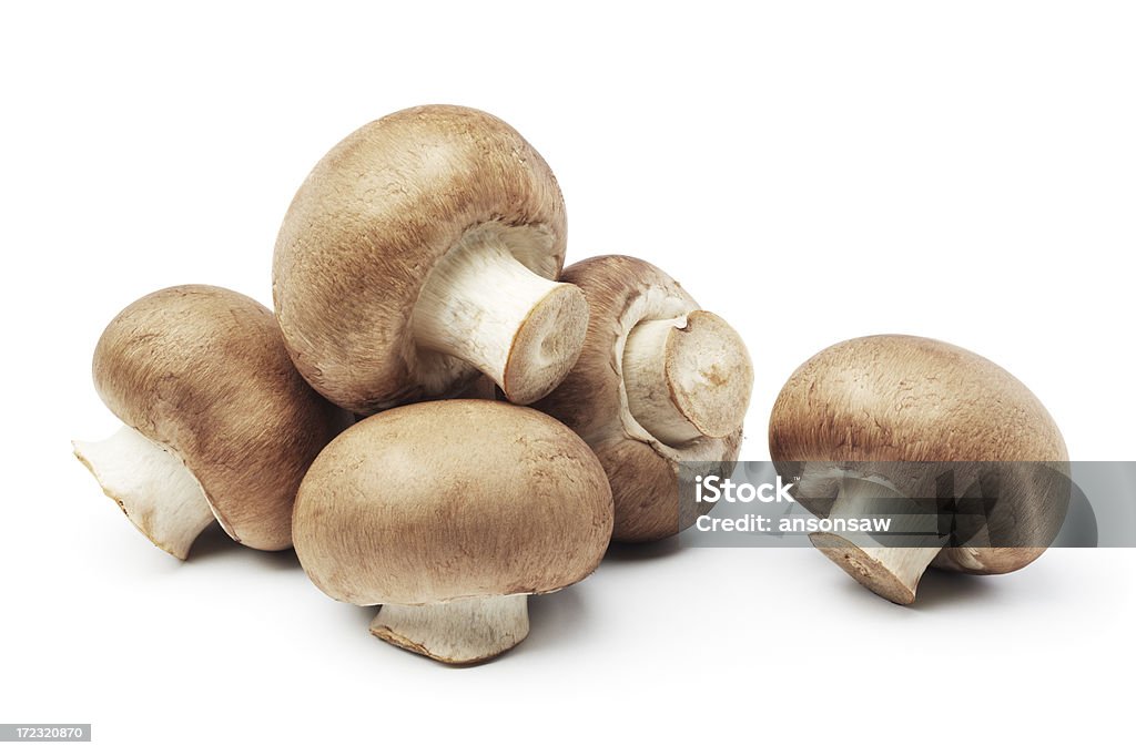 mushrooms heap of mushrooms isolated on white background Edible Mushroom Stock Photo