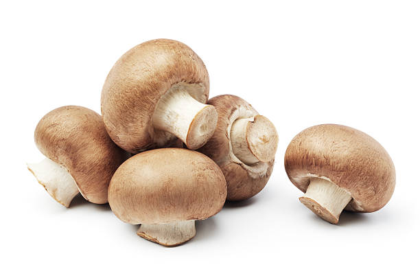 mushrooms heap of mushrooms isolated on white background edible mushroom stock pictures, royalty-free photos & images
