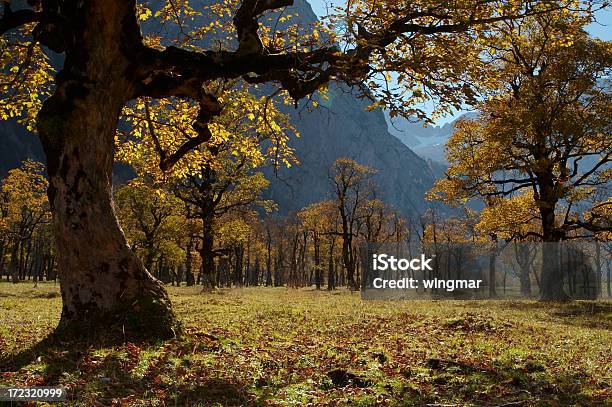 Ahornboden Stock Photo - Download Image Now - Affectionate, Austria, Autumn