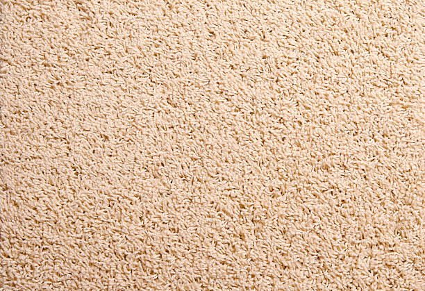 istock A close-up of a tan carpet swatch 172321133
