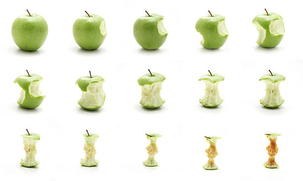 Timeline of eating an apple "Sequential images of an apple getting eating, from the full apple to browned core." apple with bite out stock pictures, royalty-free photos & images