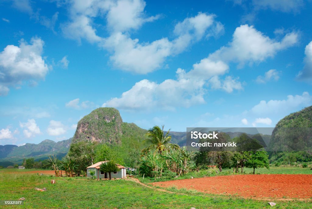 O Vale Viñales - Foto de stock de América Latina royalty-free