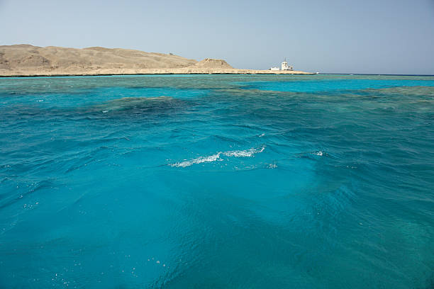 istock Diving Site, Giftun Island, Hurghada, Red Sea, Egypt 172321733