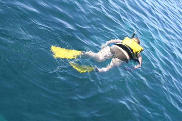 istock woman snorkeling 172321833