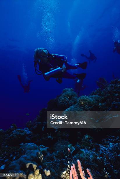 Gruppo Di Immersioni - Fotografie stock e altre immagini di Bolla - Bolla, Immersione, Acqua