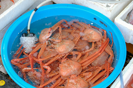 crab in fish market
