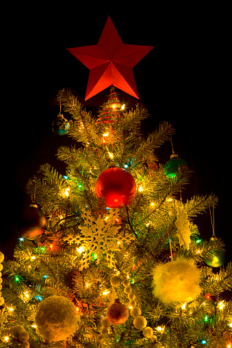 Looking at the red star on top of a decorated Christmas tree.CHRISTMAS TREES: