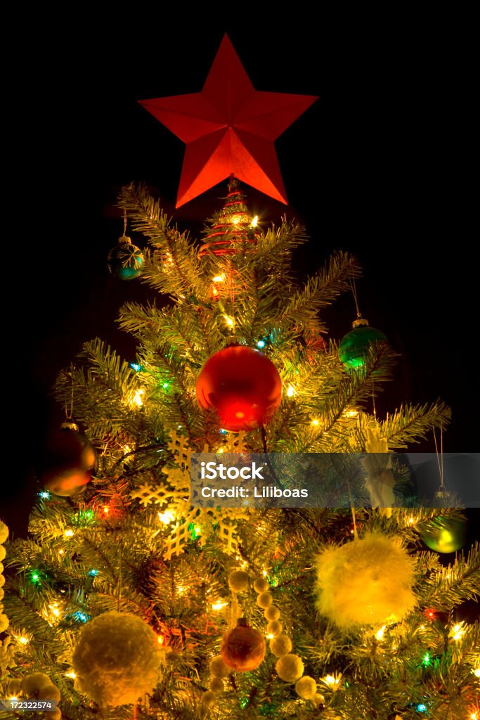 Oh, Christmas Tree (XL - Foto de stock de Em cima de royalty-free