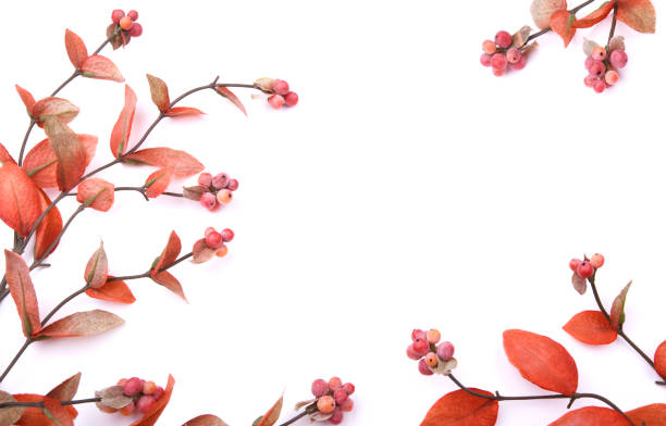 istock Autumn Leaves XL 172322785