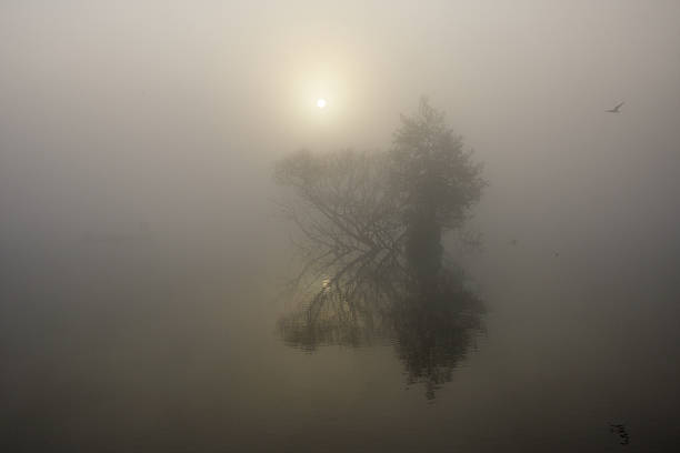istock Small island in cold foggy dawn 172322848