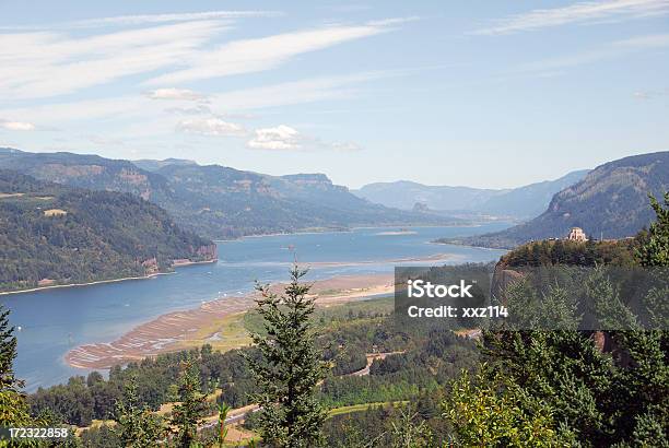 Columbia Gorge - Fotografie stock e altre immagini di Acqua - Acqua, Albero, America del Nord