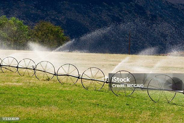 Wasser Bewässerung Stockfoto und mehr Bilder von Landwirtschaft - Landwirtschaft, Nachhaltige Entwicklung, Wassersparen