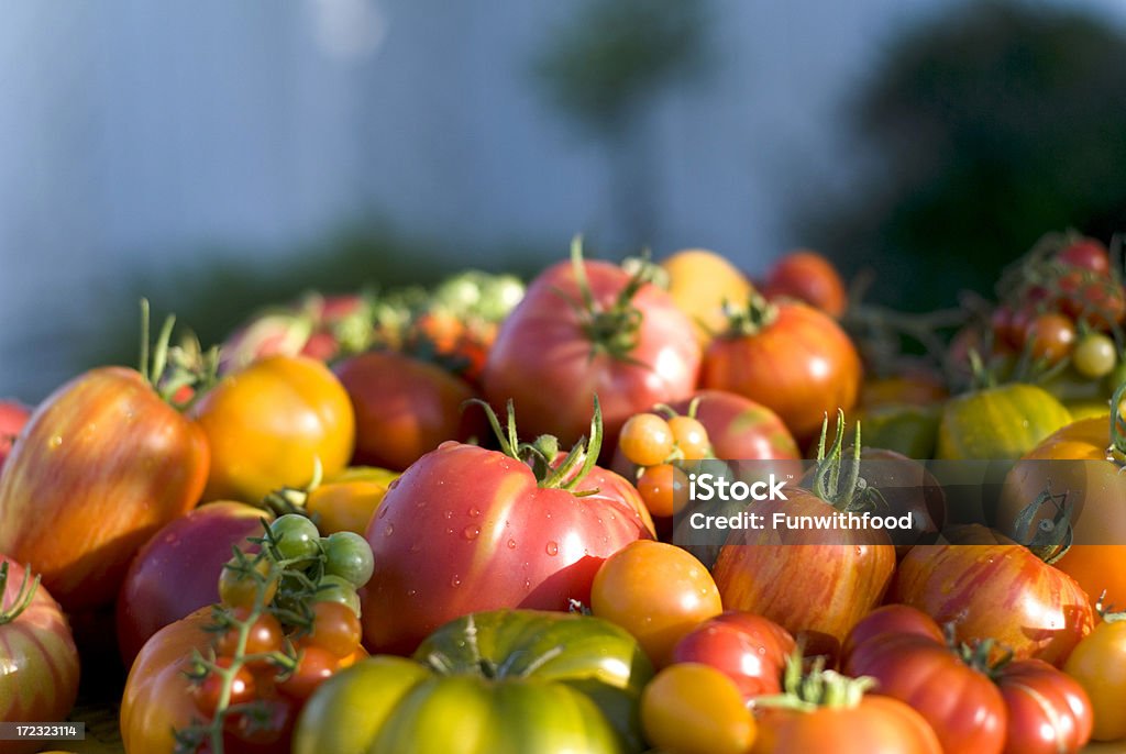 Biologisch angebauter Zutaten Hintergrund, Tomate alter Sorte & Garden frischem Gemüse - Lizenzfrei Bauernmarkt Stock-Foto